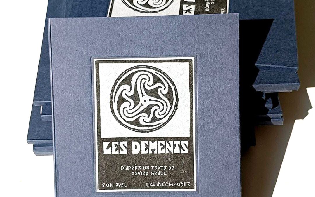 Les Déments, le livre.